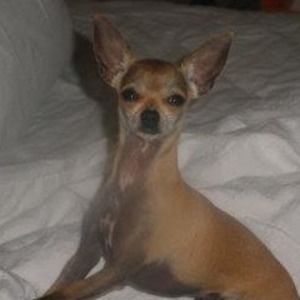 Meet your Posher, Dee